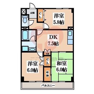 中野区新井5丁目