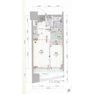 中野区新井5丁目