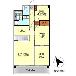 中野区新井5丁目