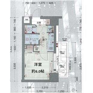 中野区新井5丁目