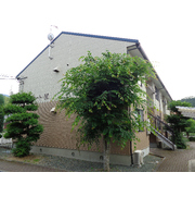 物件名が入ります