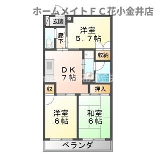 中野区新井5丁目