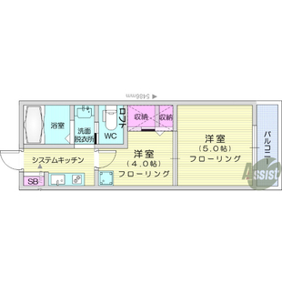 中野区新井5丁目