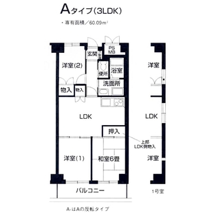 中野区新井5丁目