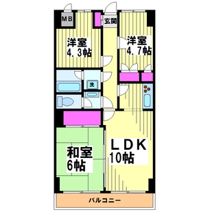 中野区新井5丁目