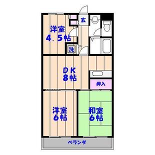 中野区新井5丁目