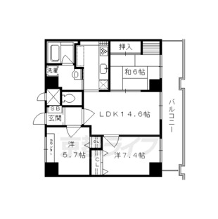 中野区新井5丁目