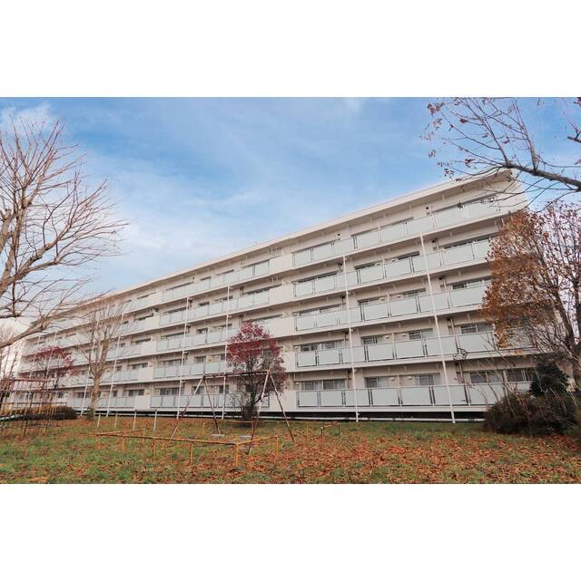 村崎野駅より徒歩32分 築39年11ヶ月 5階建の賃貸物件