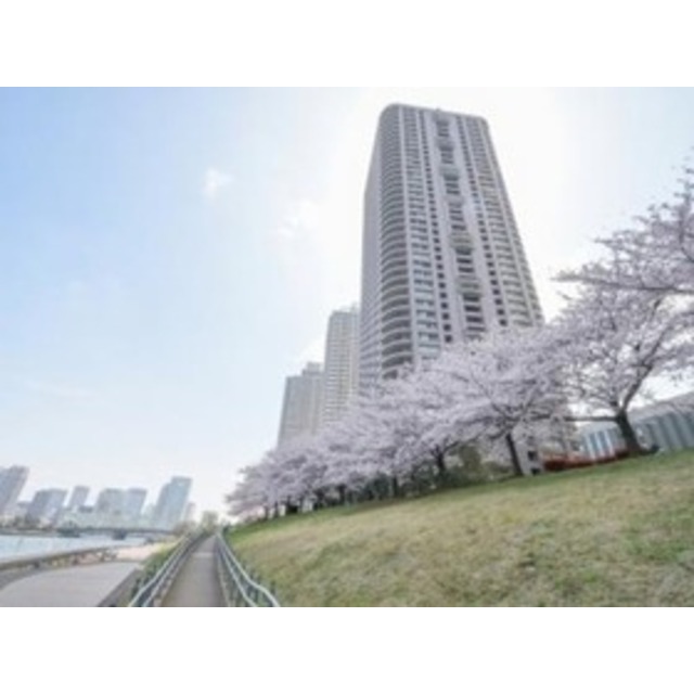 月島駅より徒歩8分 築25年3ヶ月 43階建の賃貸物件