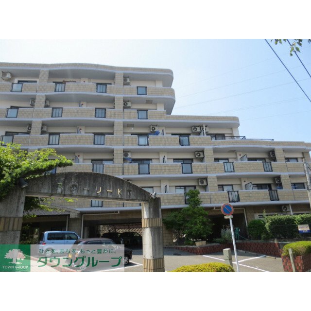 スターリーKT_トップ画像