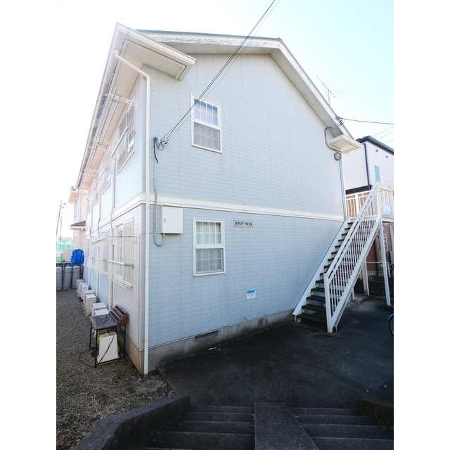 コスモスの賃貸物件