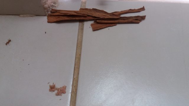 子ども ペットがいても安心 殺虫剤 を使わず アリの侵入を防ぐ効果的な方法 Yahoo 不動産おうちマガジン 子ども ペットがいても安心 殺虫剤 を使わず アリの侵入を防ぐ効果的な方法 Yahoo 不動産おうちマガジン