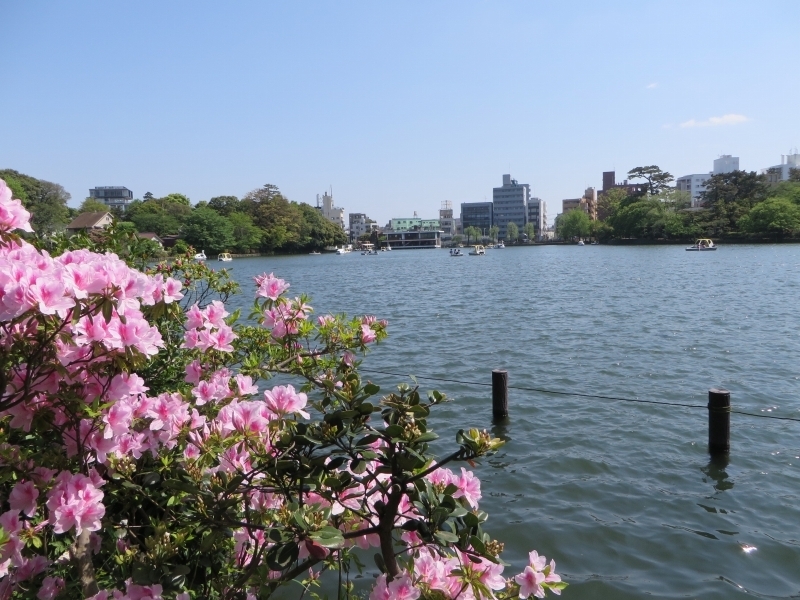 地名に サンズイ を含む場所は危険 ウソか ホントか Yahoo 不動産おうちマガジン 地名に サンズイ を含む場所は危険 ウソか ホントか Yahoo 不動産おうちマガジン