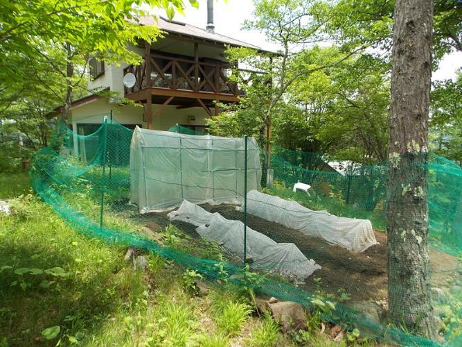 庭 菜園スペース2015年6月撮影