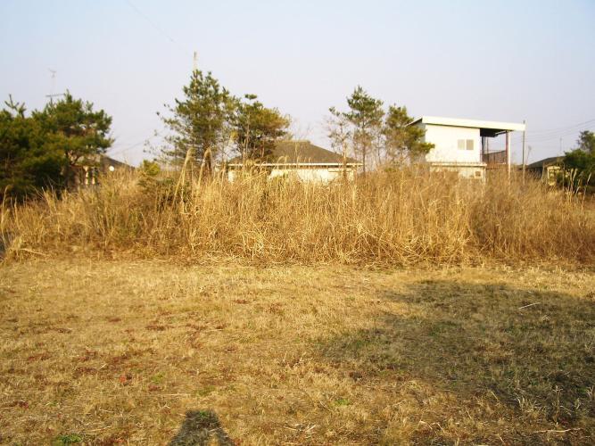 山武郡横芝光町宮川