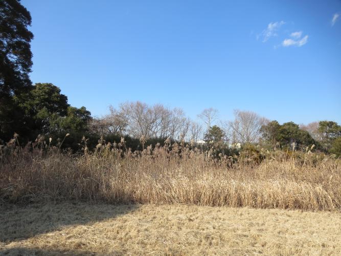 山武郡横芝光町木戸