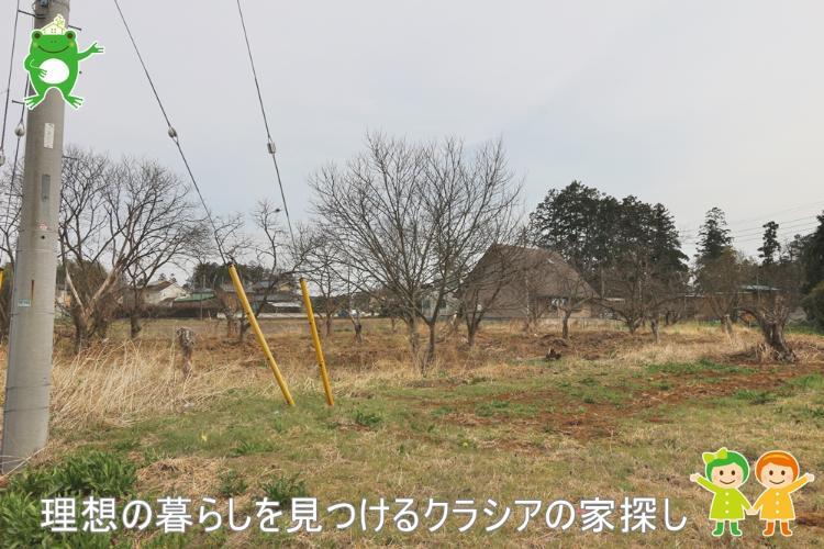 現況写真 建築条件はございません。自由設計プランお作りします(2017年4月撮影)影