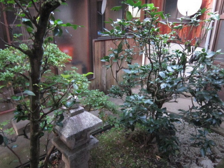 庭