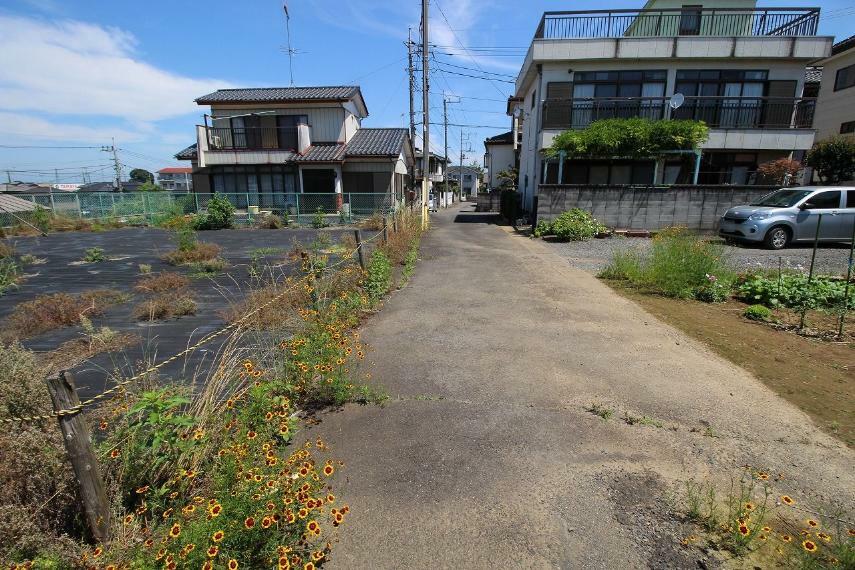 現況写真 東側道路（2023年6月撮影）