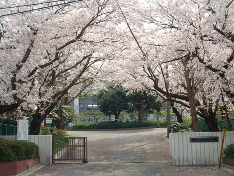 中学校 船橋中学校