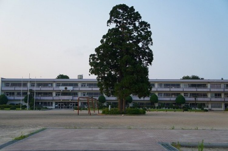 小学校 逢隈小学校 徒歩13分(約1000m)
