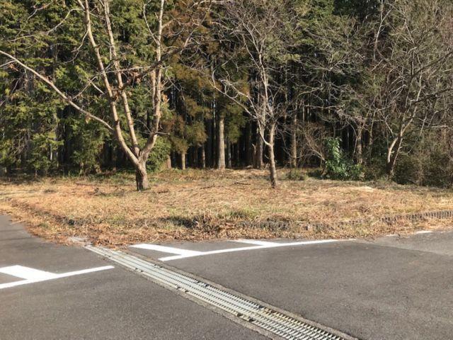 山武市椎崎