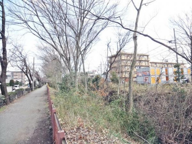 周辺の街並み 玉川上水 20m