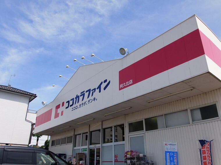 ドラッグストア ココカラファイン阿久比店