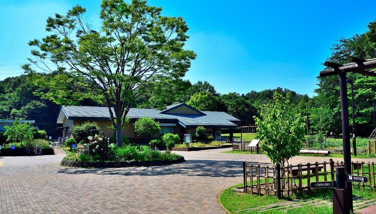 公園 公園 都立小山内裏公園まで350m 徒歩5分