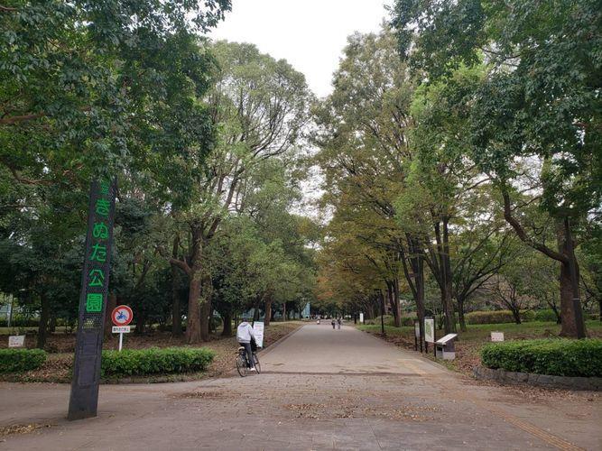 公園 きぬた公園 徒歩6分。