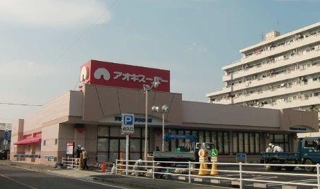 スーパー アオキスーパー岡崎六名店 徒歩12分。