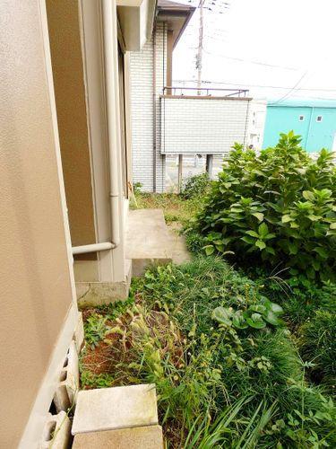 庭 庭 たくさんの草花を育てて鑑賞したり、大きな物置を設置したり、スペースはたっぷりあります。