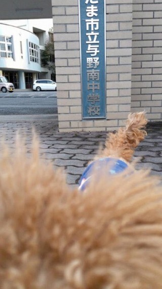 中学校 与野南中学校