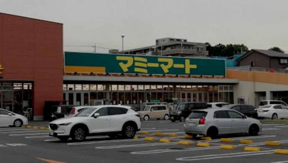 スーパー マミーマート西堀店