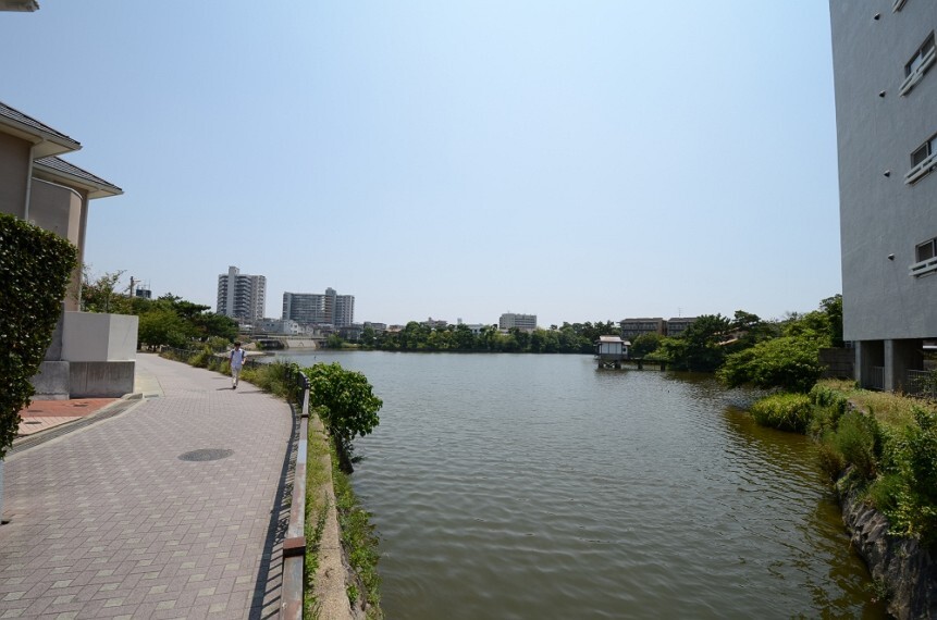 公園 【公園】弁天池公園まで1413m
