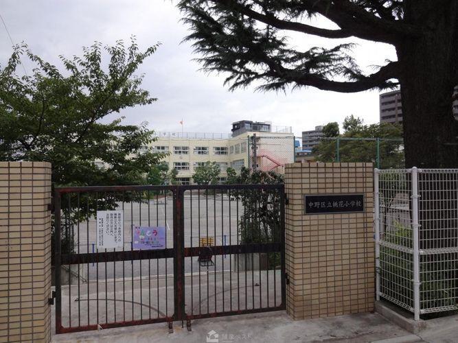 小学校 中野区立桃花小学校 徒歩8分。