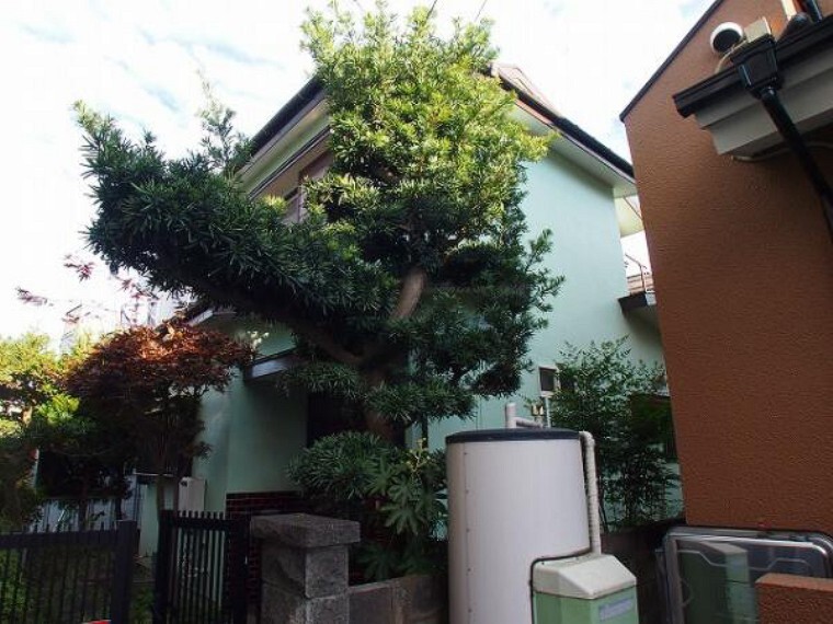 外観・現況