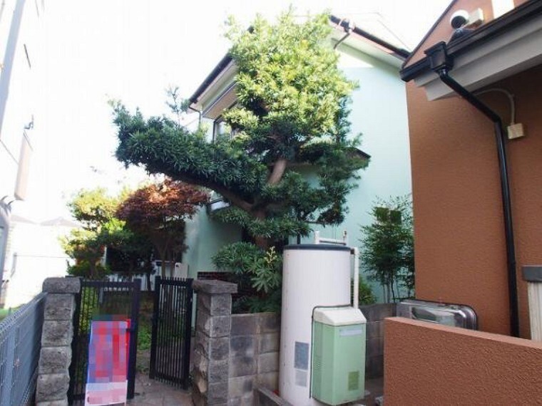 外観・現況