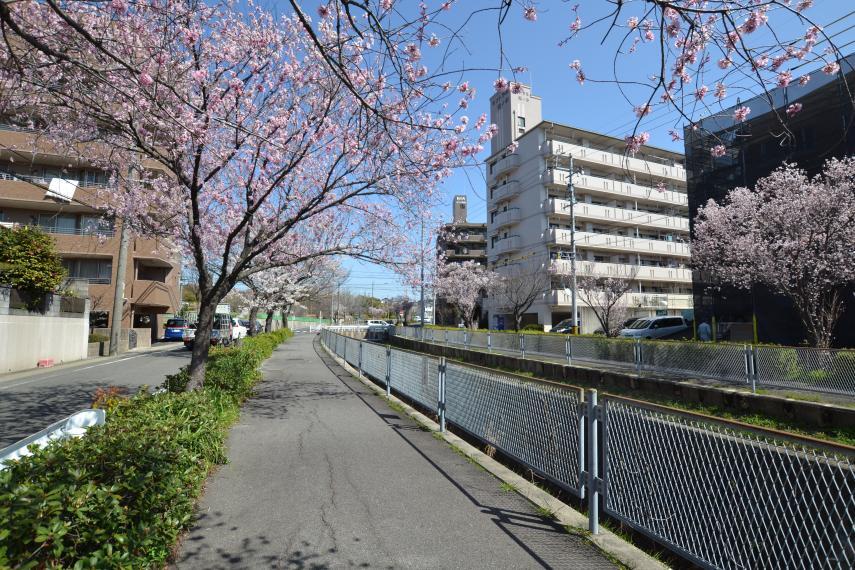 周辺の街並み