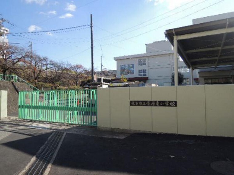 小学校 菅原東小学校