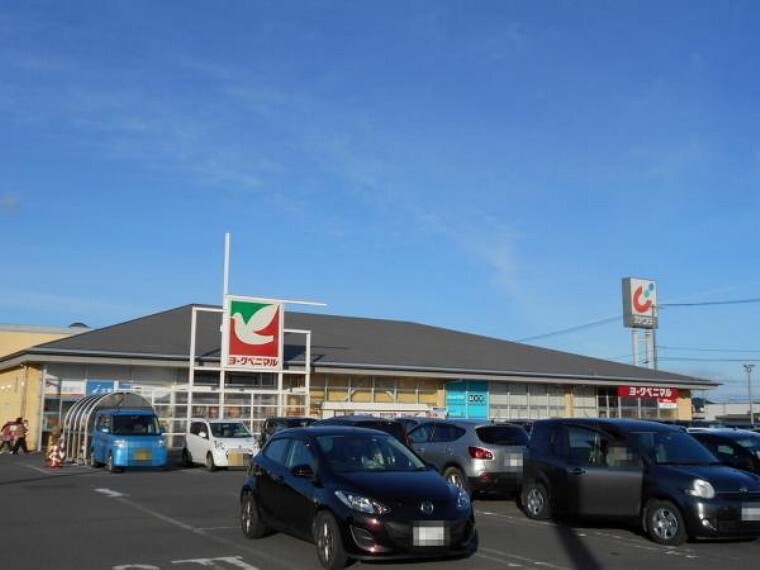 スーパー ヨークベニマルコスモス通り店 徒歩約13分(973m)