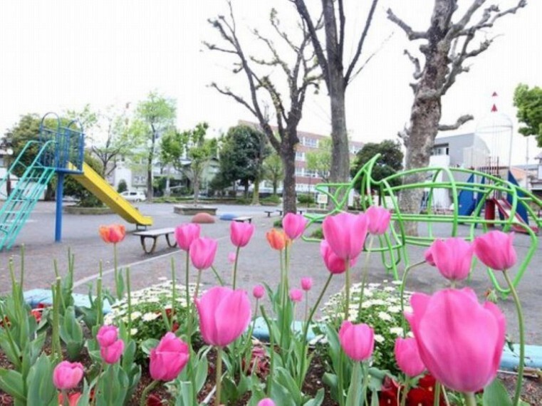 公園 大口西公園(住宅街の中に位置するユニークな形の遊具が揃う公園です。花壇も手入れされていてお散歩するにも気持ちの良い公園です。)