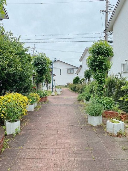 外観・現況