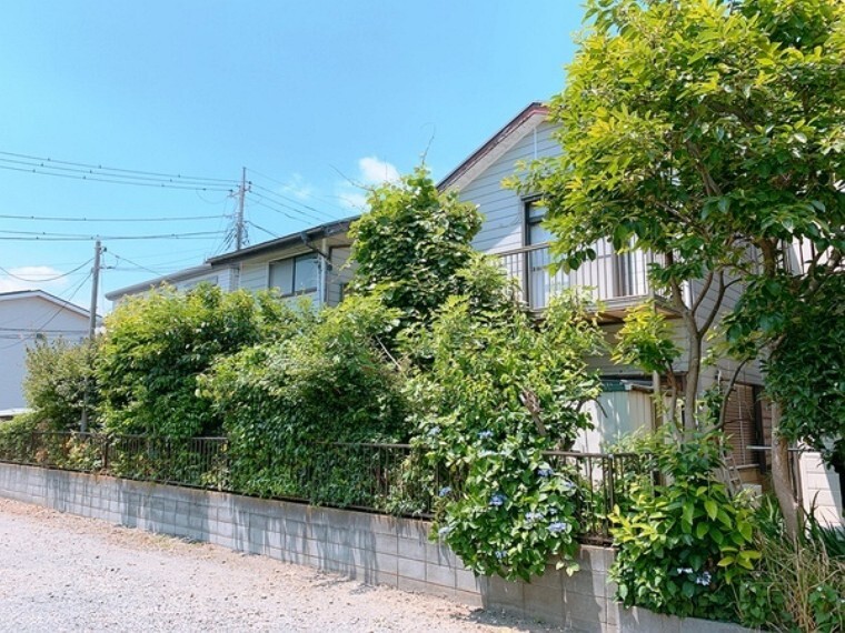 外観・現況