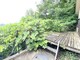 庭 庭にはウッドデッキがあり、高台に立地しておりますので、街並を一望できます。