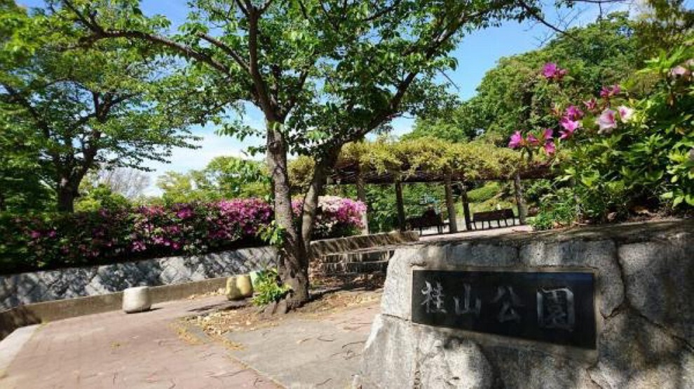公園 桂山公園