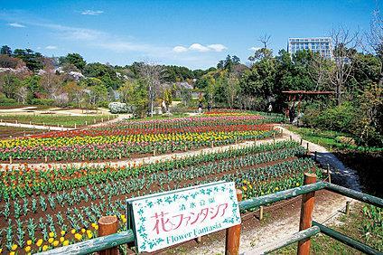 公園 【清水公園】 日本最大級のアスレチックや、花ファンタジアなど、子供から大人まで楽しめる公園です。