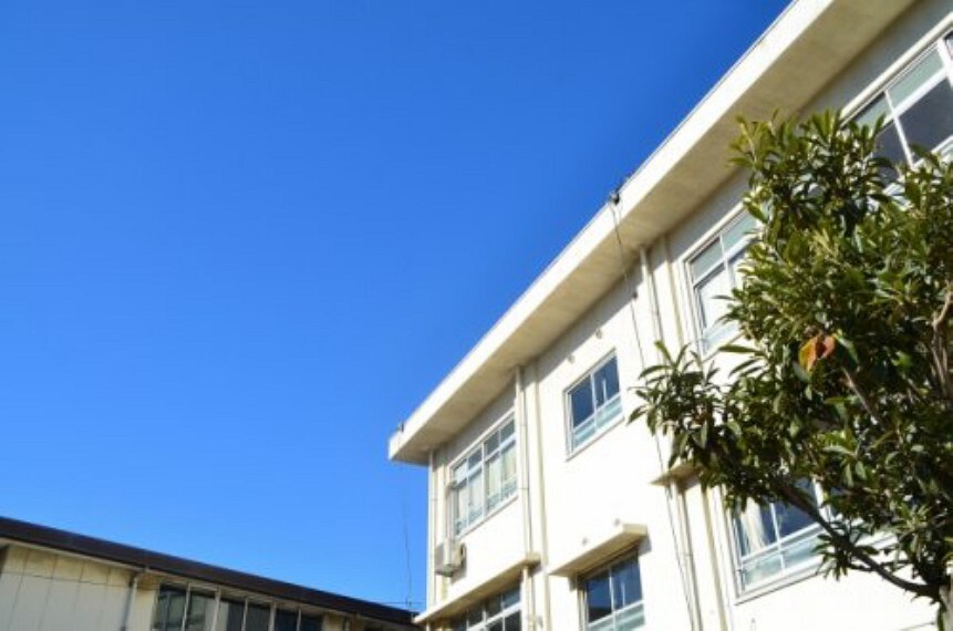 小学校 【小学校】枚方市立平野小学校まで826m