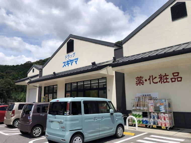 ドラッグストア ドラッグスギヤマ豊田足助店
