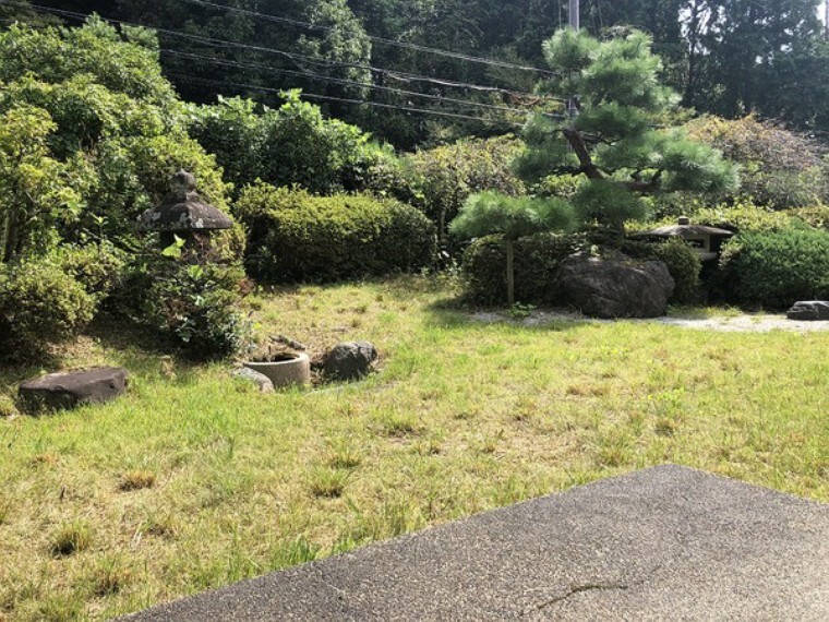 庭